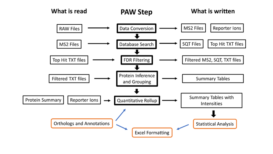 PAW workflow